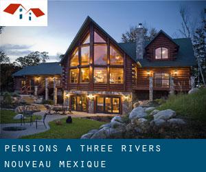 Pensions à Three Rivers (Nouveau-Mexique)
