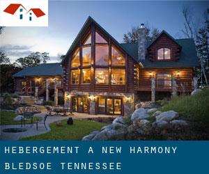 hébergement à New Harmony (Bledsoe, Tennessee)
